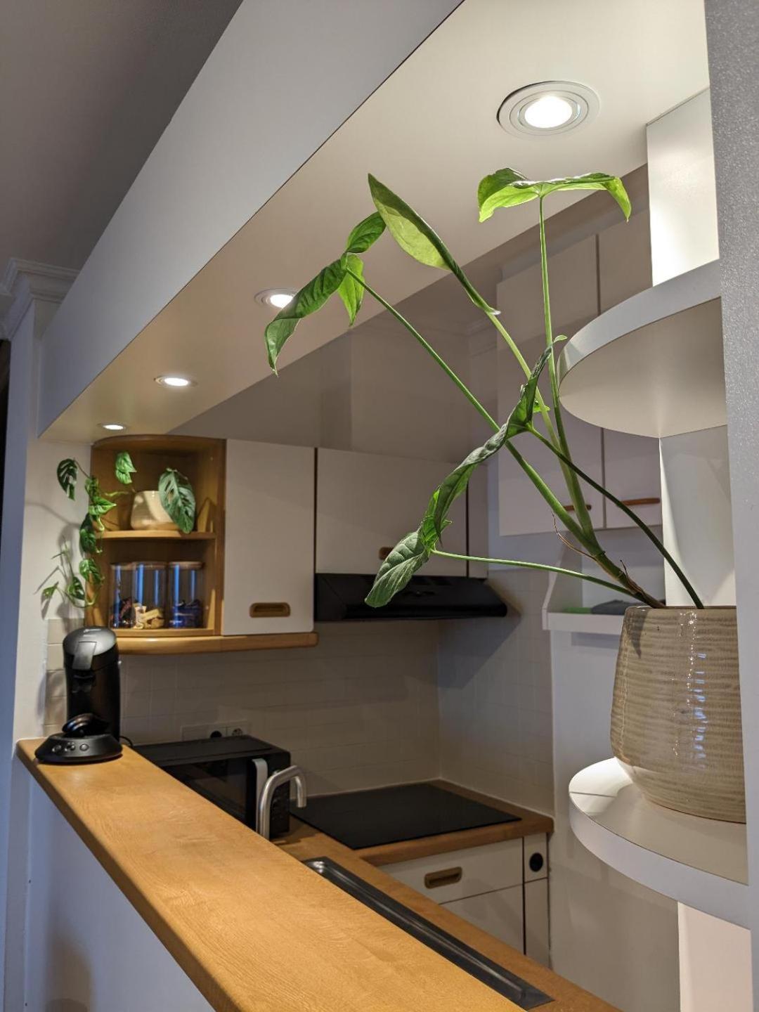 Vista Linda, Leuk Appartement Vlak Bij Zeedijk En Strand オステンド エクステリア 写真